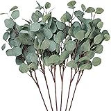 Seanmi Artificial Eucalyptus Leaves, 6 Pcs Faux