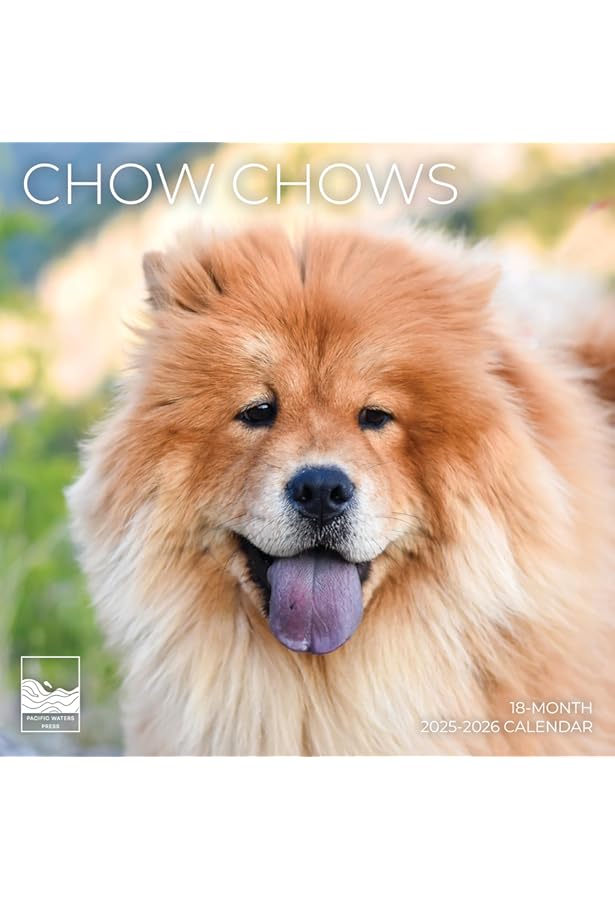 Chow Chows | 2025 12 X 24 Inch Monthly Square Wall Calendar | Plastic-Free | BrownTrout | Animals Dog Breeds: BrownTrout, BrownTrout Publishers Inc: 9781975478100