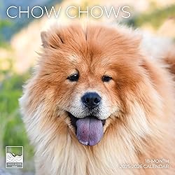 July 2025- December 2026 Wall Calendar 18 Month