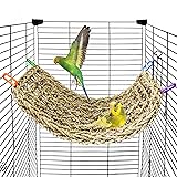 Bird Seagrass Mat 16 × 7" Parrot Natural Grass