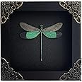 VINADECOR Real Dragonfly Butterfly Frame Taxidermy Insect Shadow Box Spooky Gothic Decor Curiosities And Oddities Decor Handing Wall Crystal Display Shelf K12-83-DE-A9