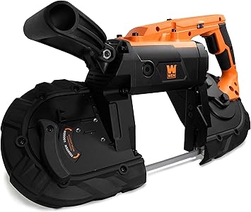 https://images-na.ssl-images-amazon.com/images/I/81YNjm8M%2BbL._AC_SX355_.jpg