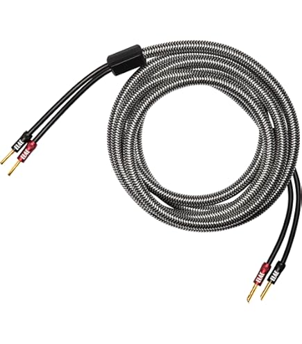 Amazon.com: Elac - Sensible Speaker Cables (10Ft Pair