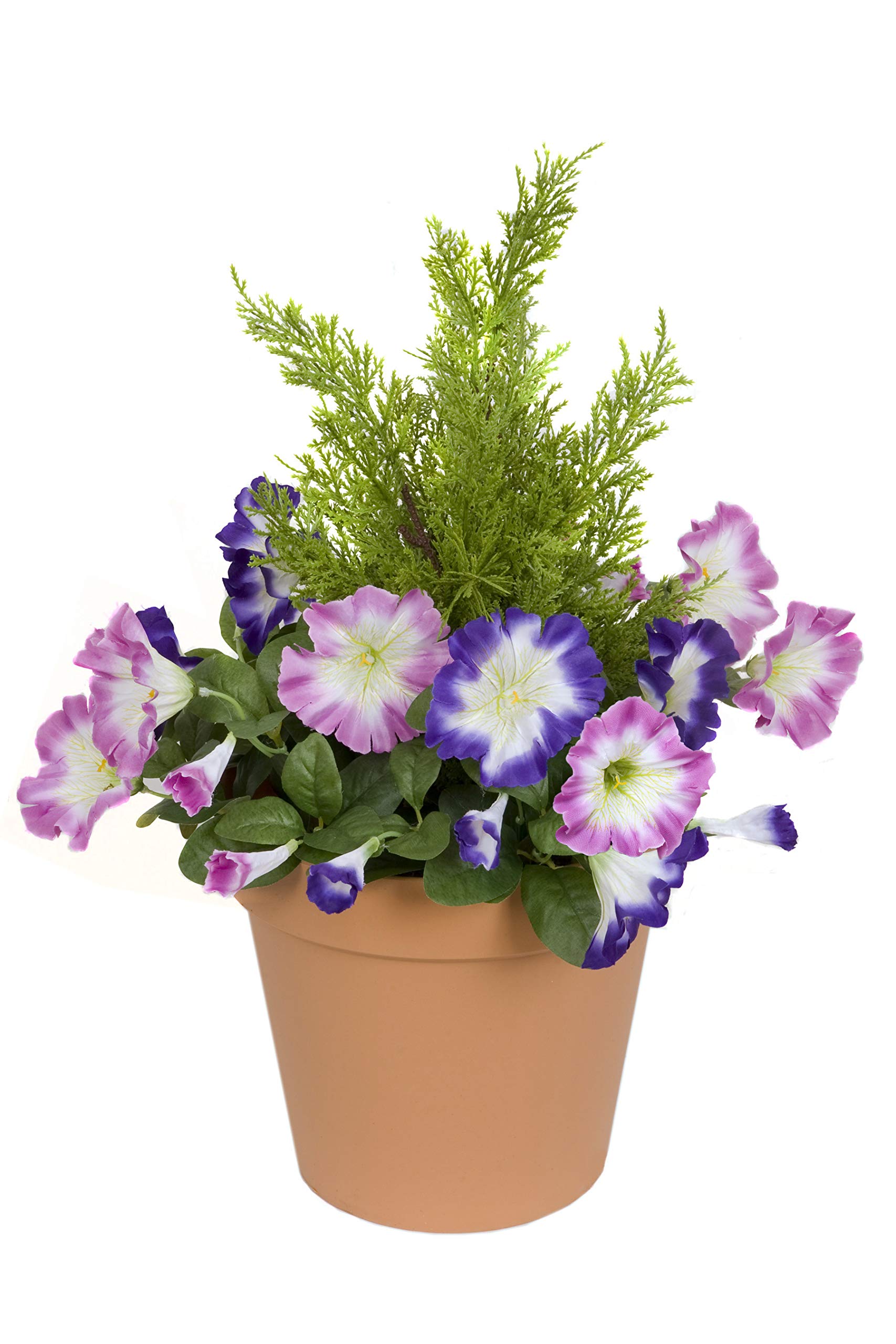 GreenBrokers Terracotta Artificial Plastic Patio Planter with Pink & Purple Petunias and Cedar Topiary