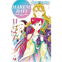 HAREM DAYS THE SEVEN-STARRED COUNTRY Vol. 11 book cover