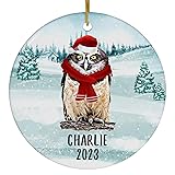 Santa Hat and Scarf Welcome Winter Speckled