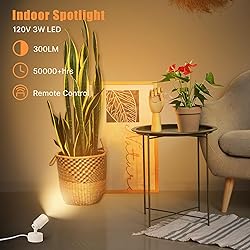 2 Pack LED Spot Lights Indoor, 3W Uplighting With
