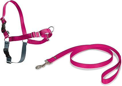 Petsafe Harnais Pour Petit Chien Easy Walk S Facile à Utiliser Anti Traction Avec 4 Points De Réglage Pour Un Confort Maximal Framboise