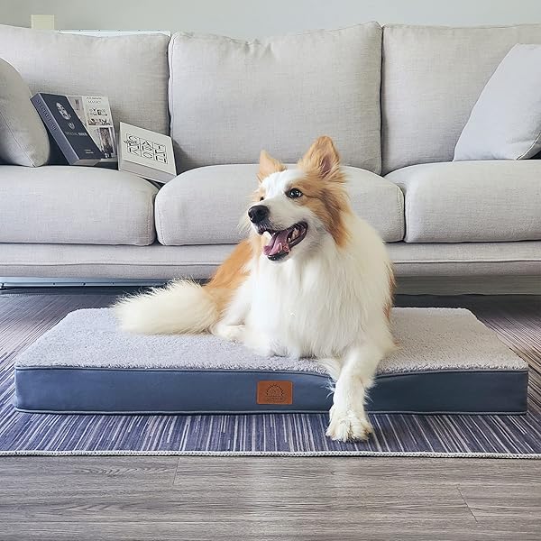 SUNHEIR ORTHOPEDIC DOG BED FOR LARGE DOGS AND EXTRA LARGE DOGS, XL WATERPROOF DOG BED WITH REMOVABLE WASHABLE COVER & ANTI-SLIP BOTTOM, CRATE BED, DELUXE PLUSH PET BED MAT, L-PLUS(36″X27″X3″), GREY