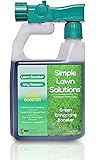 Intense Green Grass Enhancing Booster- Natural Spray Concentrated Liquid Fertilizer Micronutrient- Any Grass Type, All Season- Simple Lawn Solutions, 32-Ounce