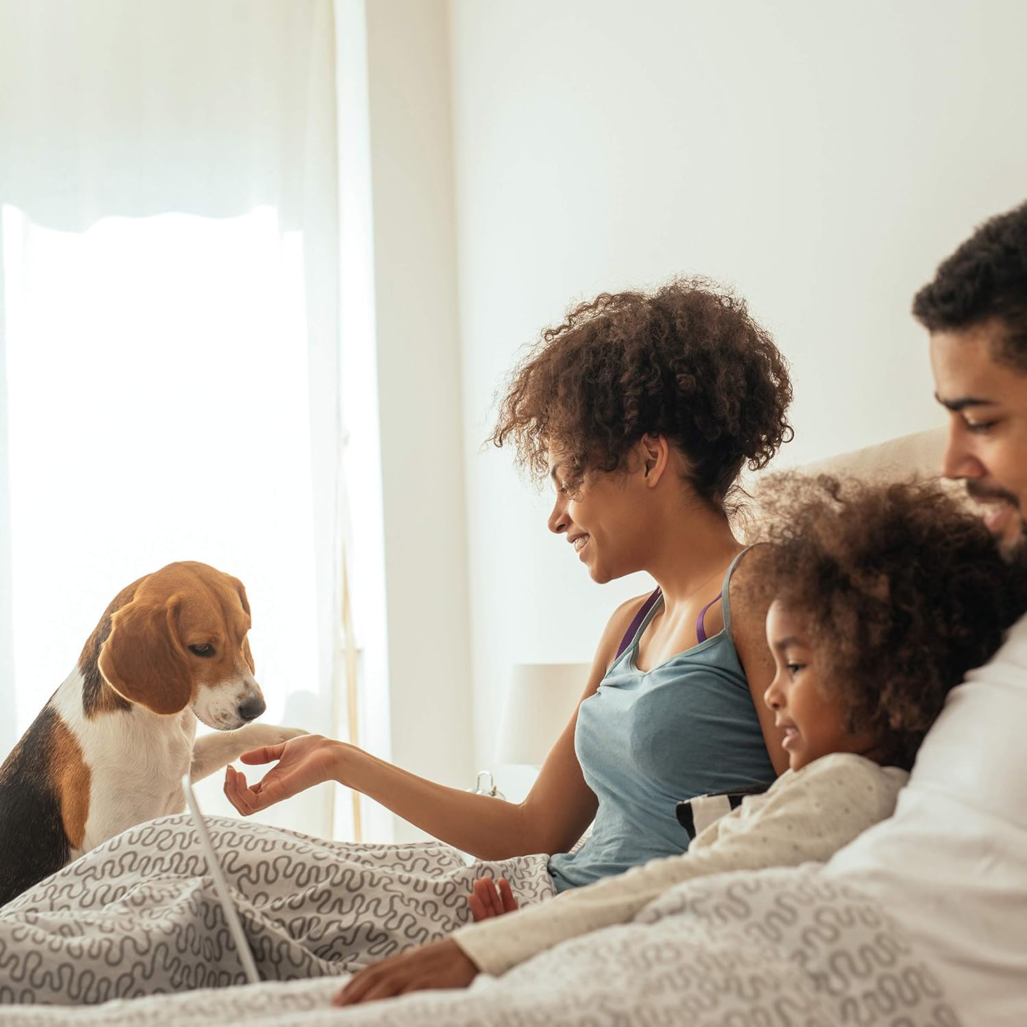 PETMAKER 80-PET6147 Folding Pet Stairs-Carpeted Foldable Durable Wood Steps-Compact, Portable, Sturdy for Home or Travel, Dogs, Cats, Petsup to 80Lbs, 4 Step : Pet Supplies