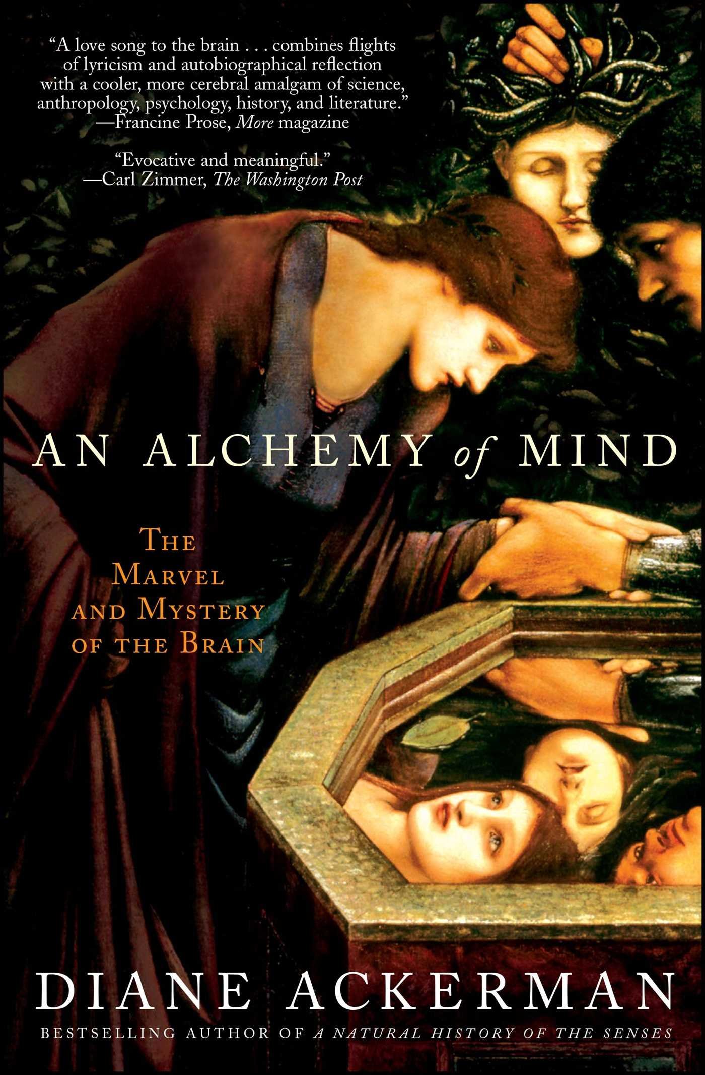 An Alchemy Of Mind: The Marvel And Mystery Of The Brain (9780743246743)