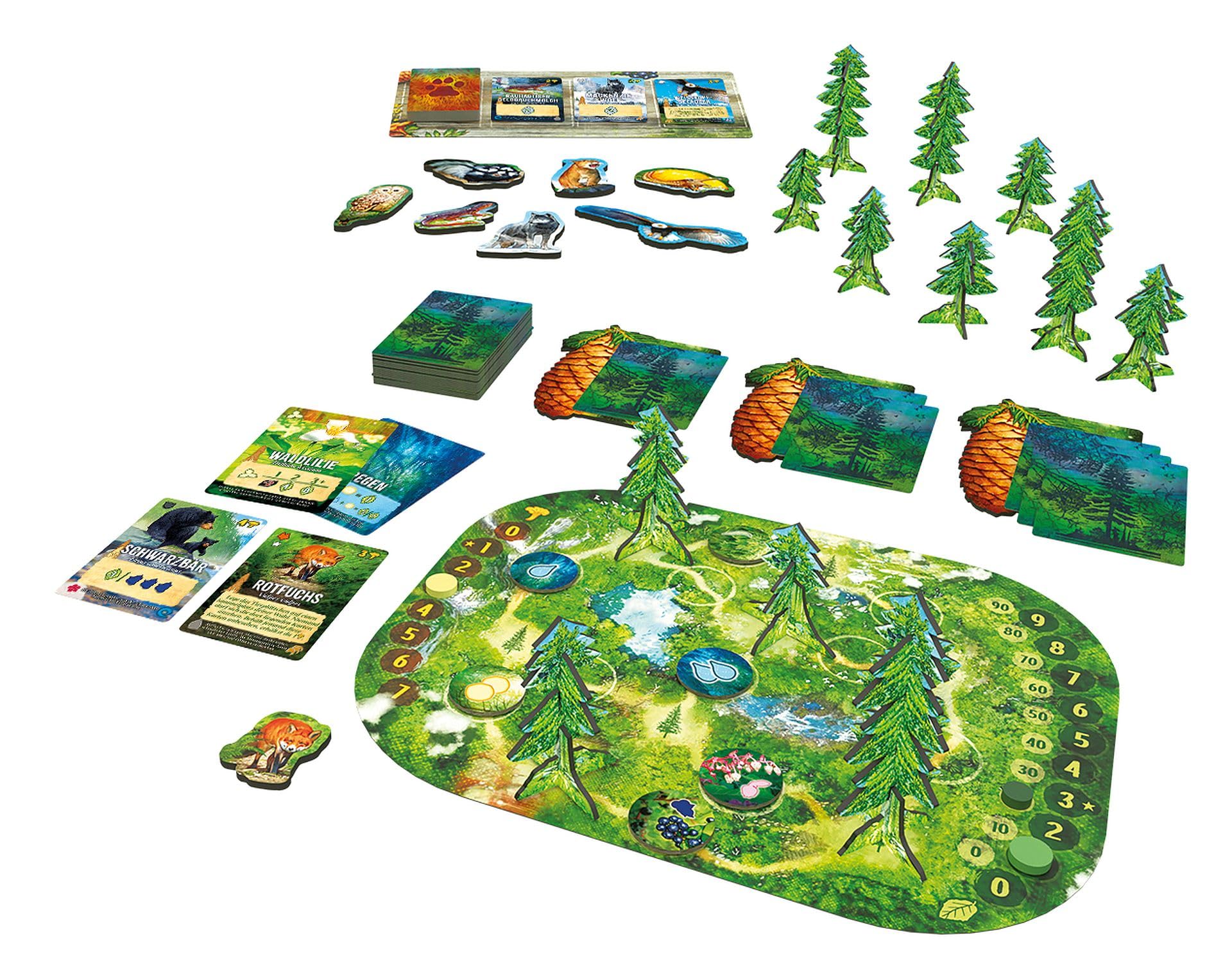 Piatnik 728099 - Waldland - Immergrün und Artenreich! 2