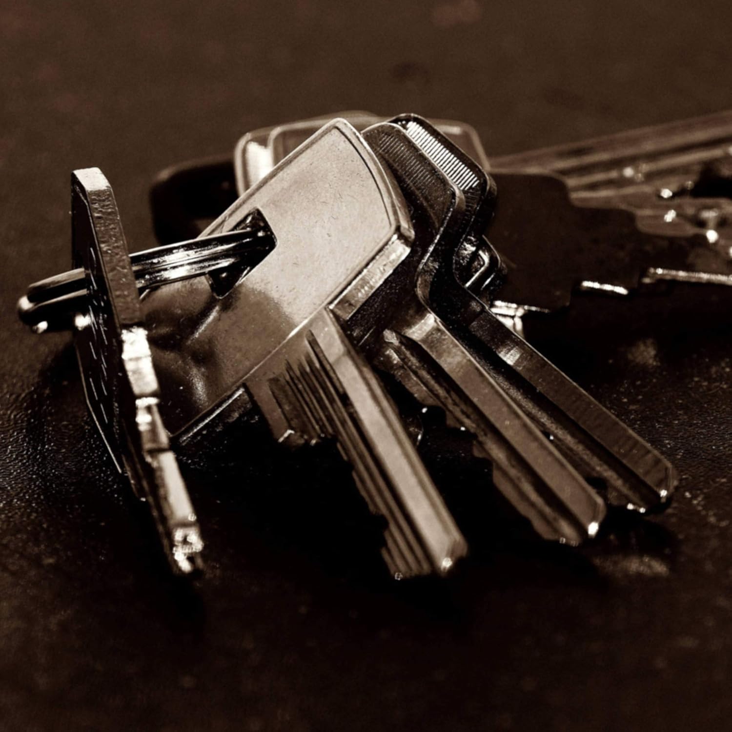 Key Rings,Key Ring Keyring Rustproof, Dog Tag Ring Flat Key Rings Rings Split Keyrings for Home Car Keys Attachment,12 pcs: Office Products