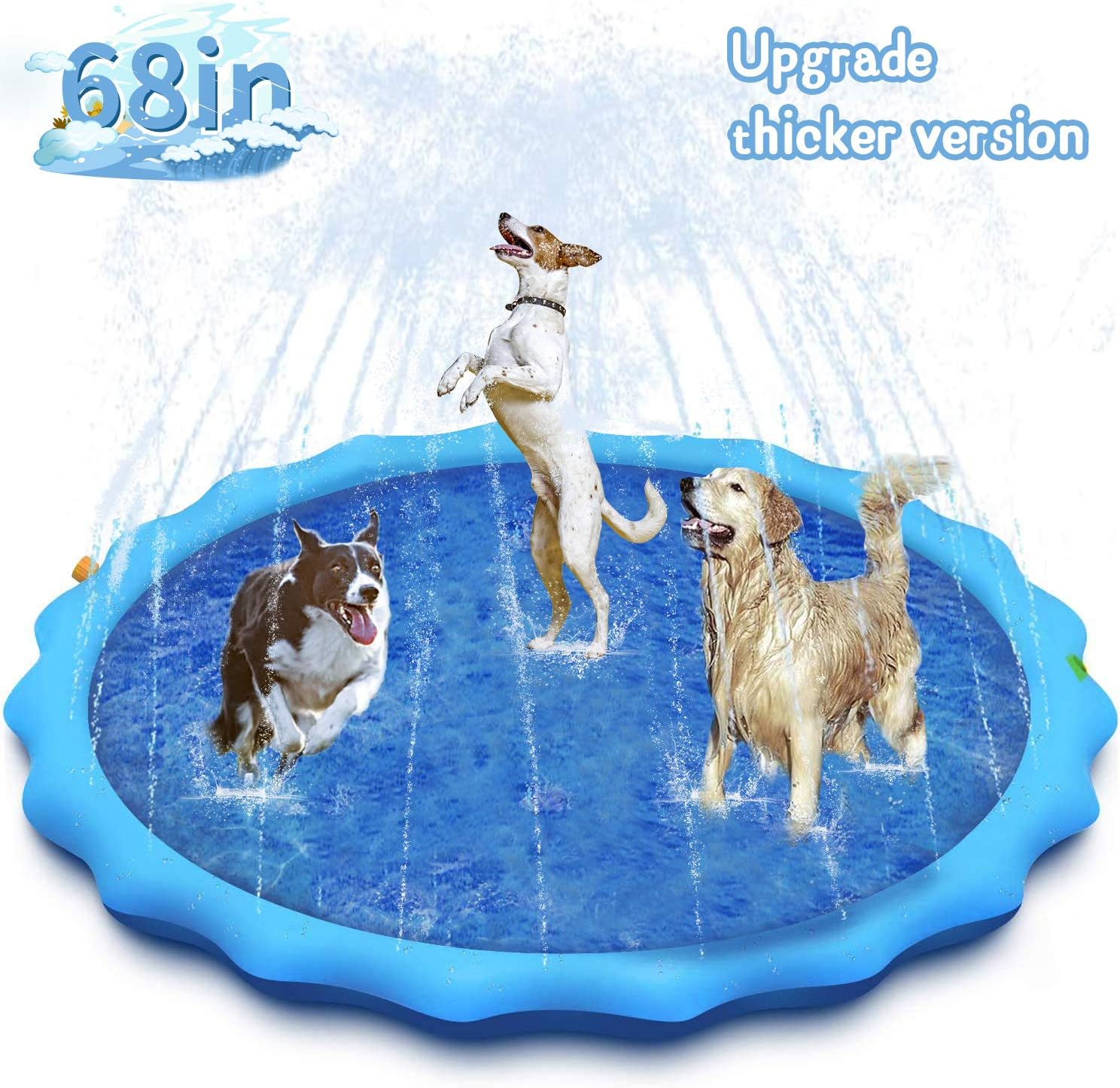 dog splash pool