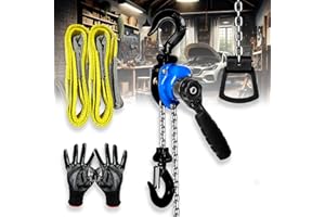 FITHOIST Mini Chain Hoist 1/4 ton with 2 Lift Sling Straps and Gloves 10ft Lift Small Come Along Alloy Steel G80 Chain 2 Heavy Duty Hooks, Manual Hoist for Garages Warehouse Automotive Machinery
