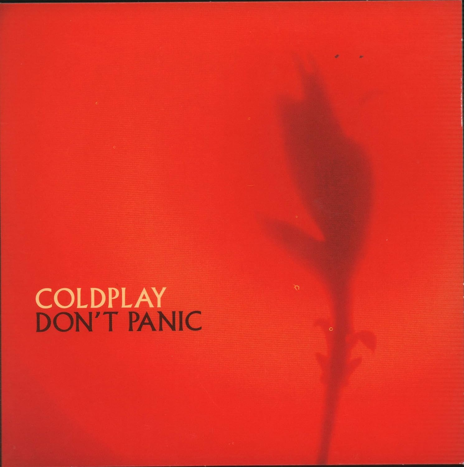 Don't Panic Coldplay Amazon.ca Music