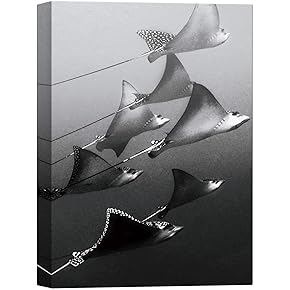 SIGNWIN Canvas Wall Art A Group of Stingray...