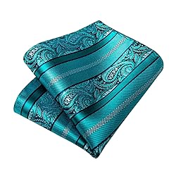 DiBanGu Silk Paisley Ties for Men Woven Necktie and