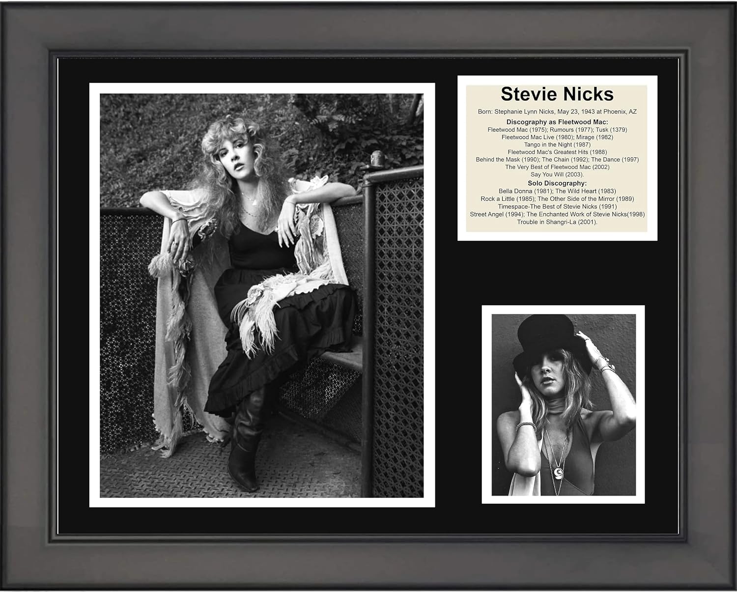 Photographs - HOFSM.COM Hall of Fame Sports Memorabilia Framed Stevie Steve Nicks Discography 12
