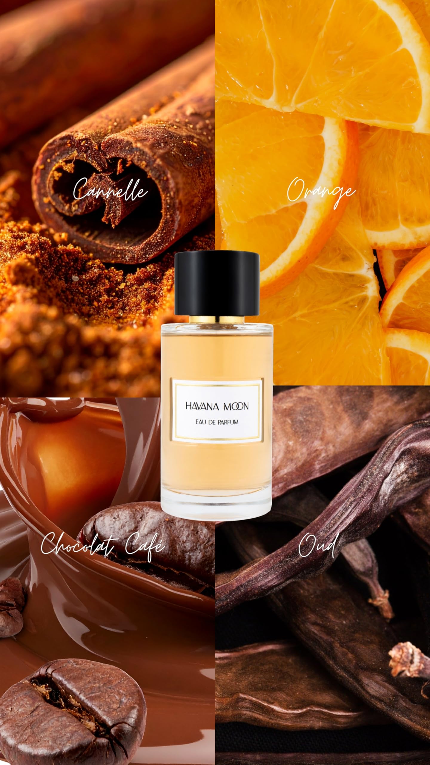 JEANNE ARTHES – Private Collection – Havana Moon - Eau de parfüm herren – Orientalisch & Gourmet – Tonkabohne, Vanille – Hergestellt in Grasse – 100 ml Sprühflasche 3