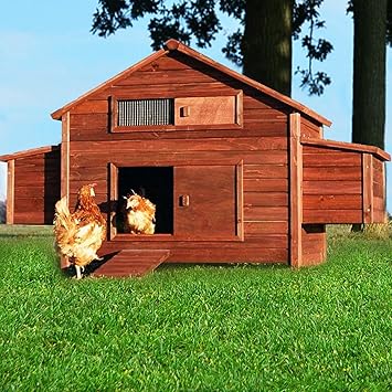 poulailler xxl de ferme