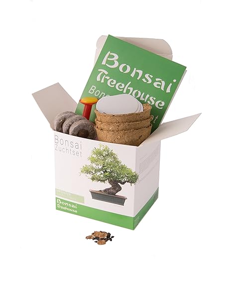 Bonsai züchten leicht gemacht! Alles was du benötigst um deinen eigenen Baum wachsen zu lassen in einer Box. Das besondere Ge