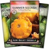 Sow Right Seeds - Summer Squash Seed Collection for Planting Home Garden | Includes Straightneck, Yellow Scallop, Round Zucchini. Plant non-GMO heirloom varieties for outdoor vegetable gardening.