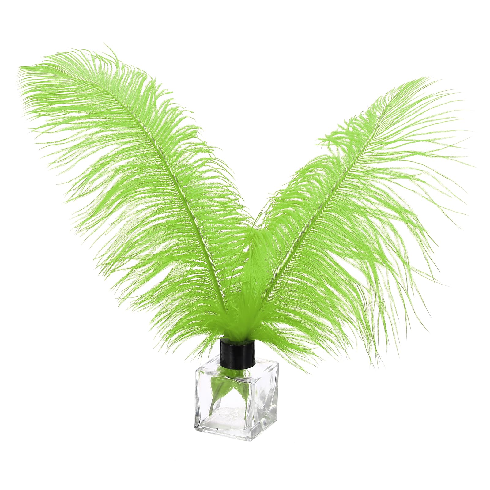 PATIKIL 30 Pcs Natural Ostrich Feathers Bulk 12-14 Inch/ 30-35 cm Large Ostrich Feathers for Crafts Home Decoration Wedding Party Vase Decor (Green)