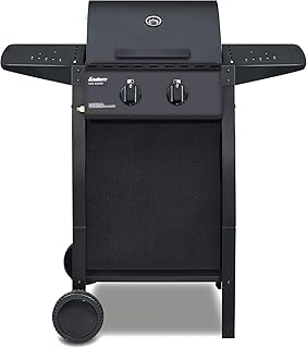 Enders Gasgrill SAN DIEGO 2, mit Grill-Thermometer, 2-Brenner aus Edelstahl, kleiner Grill, Edelstahl-Grill-Rost, Balkon-Grill, Camping-Grill, stabile Seitenablagen, leistungsstark, #81146