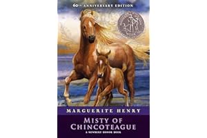 Misty of Chincoteague