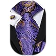 Hi-Tie Silk Paisley Ties for Men Necktie Pocket Square Cufflinks Set Foral Tie Sets Formal Business