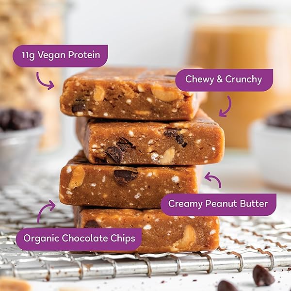 GOMACRO MACROBAR ORGANIC VEGAN PROTEIN BARS – PEANUT BUTTER CHOCOLATE CHIP (2.4 OUNCE BARS, 12 COUNT)
