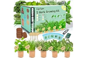 EQUSYM 5 Herb Window Garden Kit Indoor - Herb Seeds for Indoor & Outdoor Planting, Gardening Gift for Kids, Moms, Women, Beginners - Complete Starter Kit with Pots, Soil, Basil, Mint, Thyme, Parsley