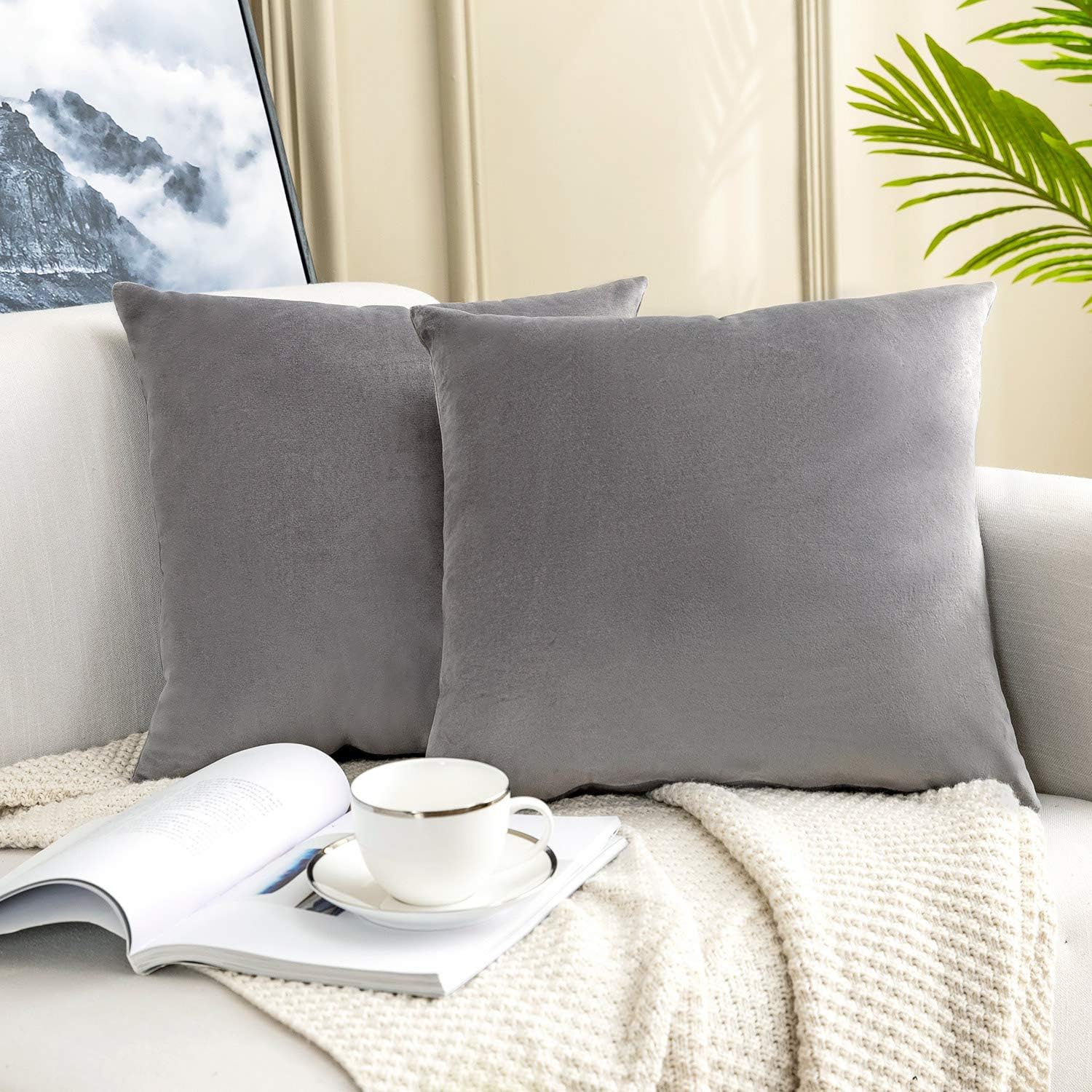 YESHOME Pack of 2 Throw Pillow Covers Gray Decorative with Soft Velvet Solid Cushion Cover Bedroom Office Car 18x18