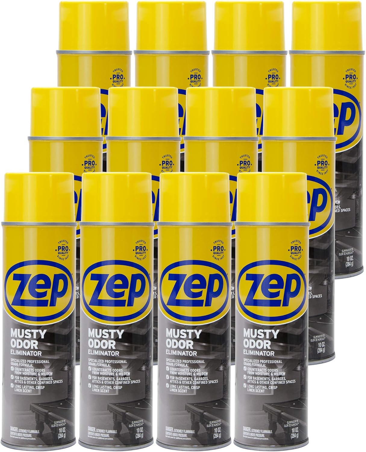 Best Remove Damp Smell From Carpet