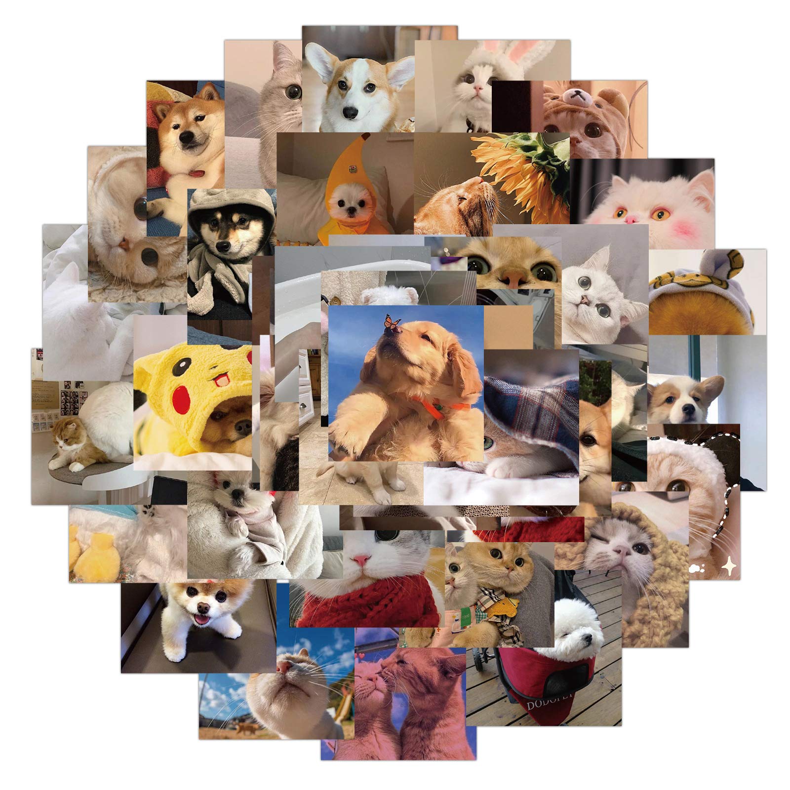 48Pcs Cute Cat and Dog Stickers for Water Bottles Tumbler Luggage Skateboard Bumper Scrapbook Mug, Sticker Gift for Kids Teens Adults