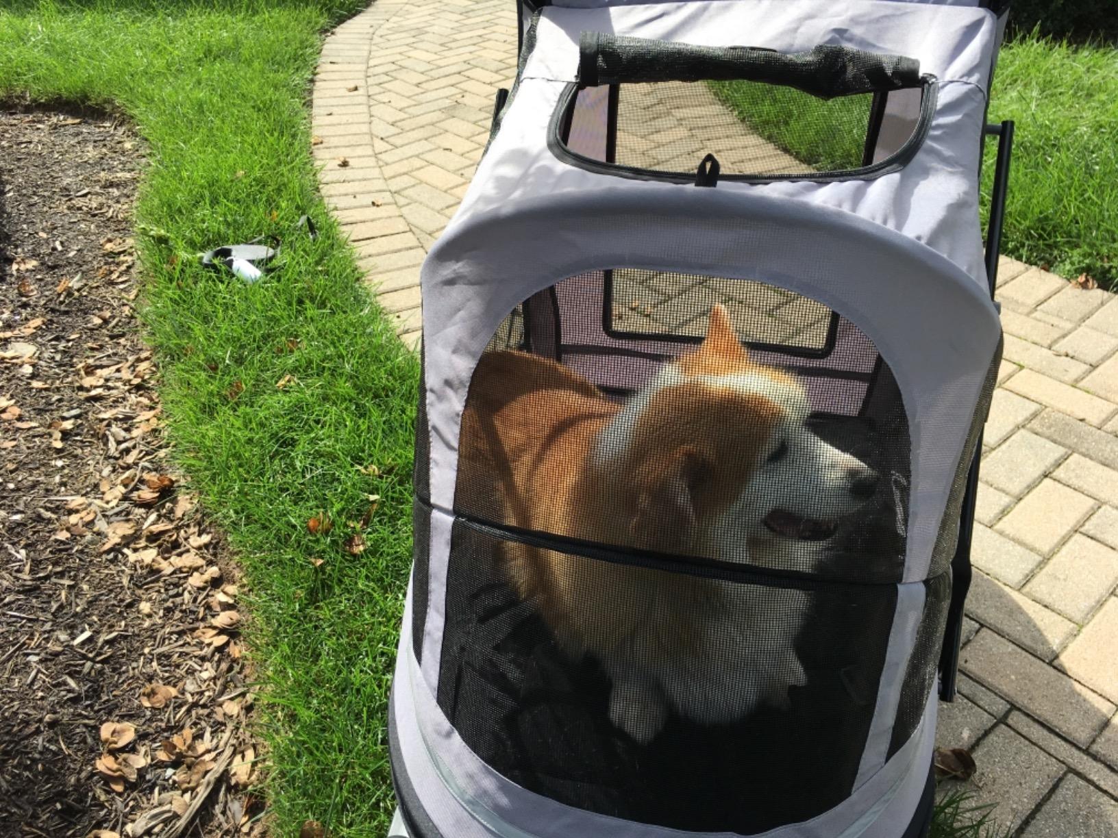 43/mo Finance Pet Gear NOZip Pet Stroller with Dual Entry, Push