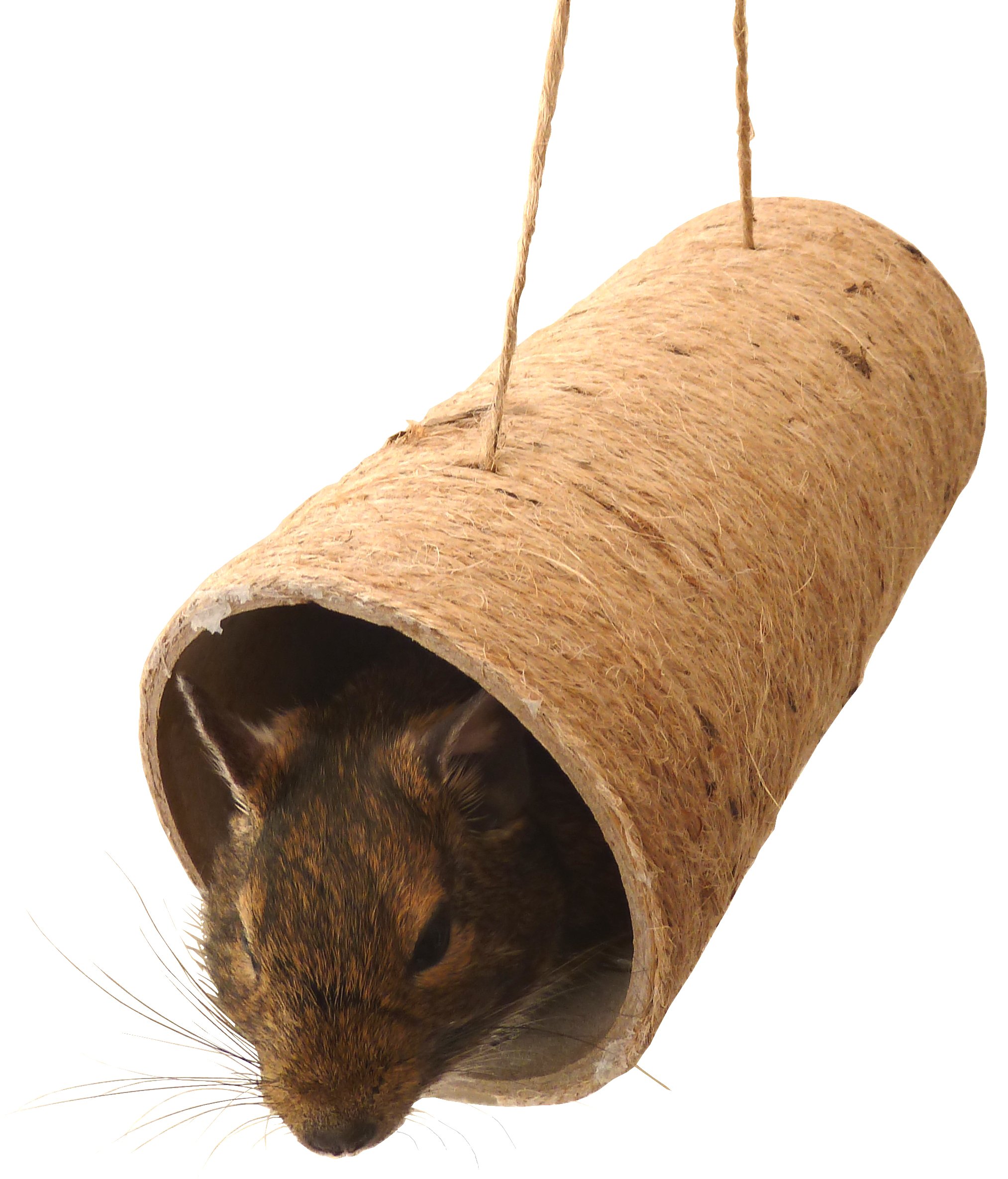 Totally Degu Ultimate Chewchewbs 2 Pack for Degus, Hamsters, Gerbils, Mice and Rats - Pet Activity Structure