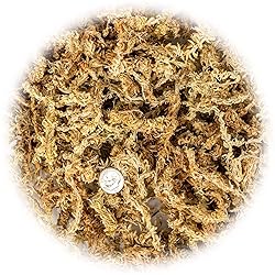 Premium Grade Sphagnum Moss by Gardenera - Organic