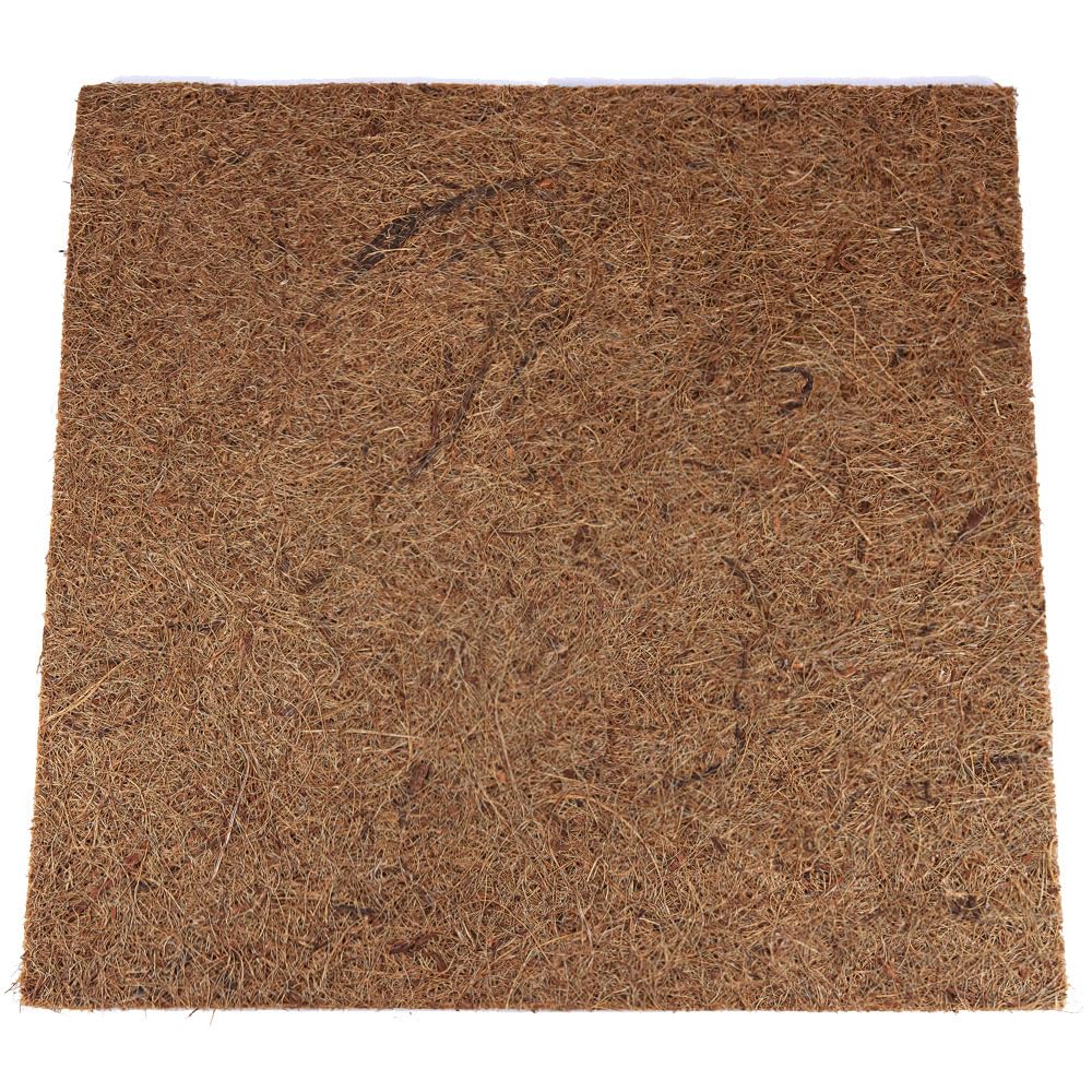 Reptiles-Planet Jungle Coco Background 30 x 30 x 1 cm