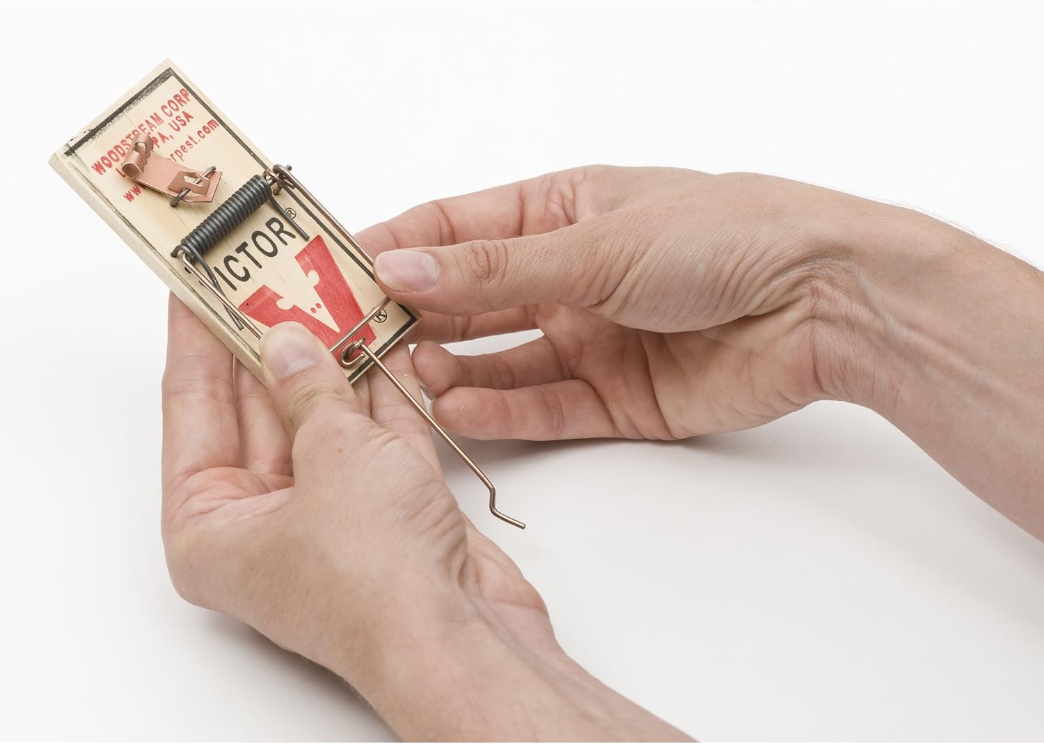 Victor Metal Pedal Mouse Trap, Pack of 4 - M154 Wood Mouse Trap : Home Pest Control Traps : Garden & Outdoor