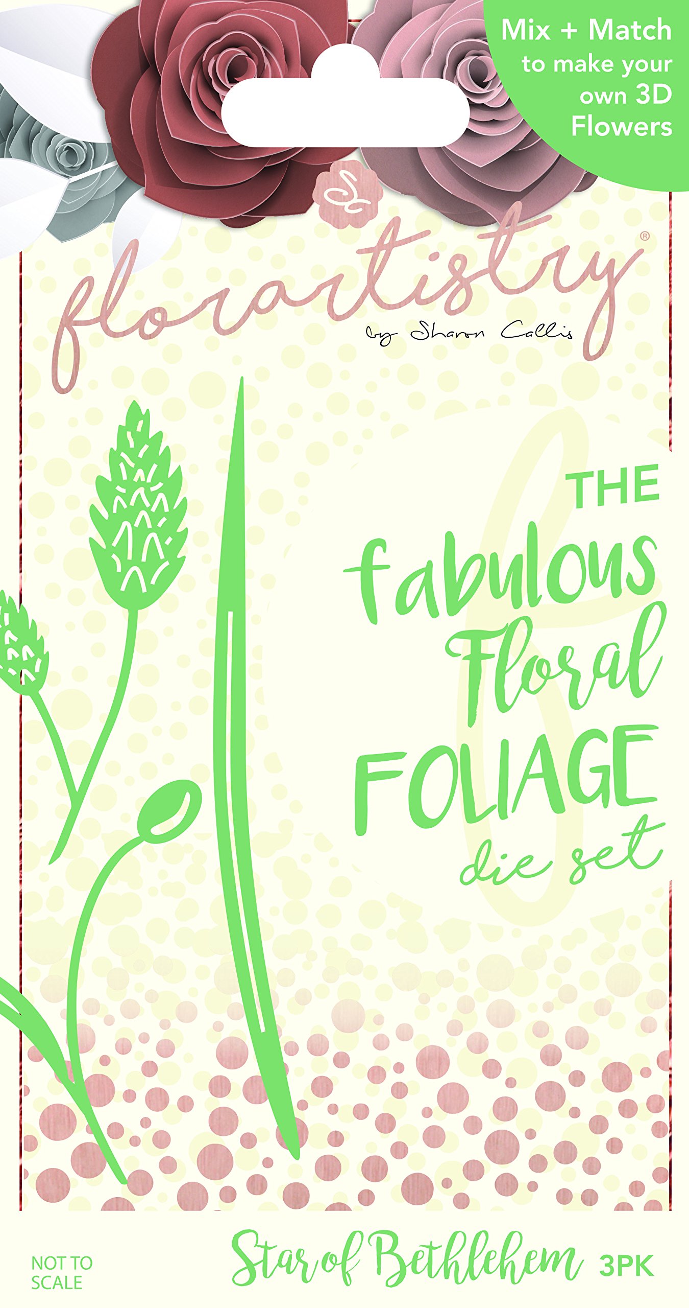 Florartistry Foliage Die-Star of Bethlehem, Metal, Brown, 20.1 x 10.9 x 0.4 cm