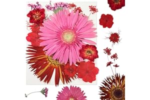 HOPELJ Dried Pressed Flowers for Resin, Real Natural Pressed Flowers Dry Leaves Bulk Kit for Scrapbooking DIY Art Crafts, Epoxy Resin Jewelry Molds, Candle, Soap Making and Nails Decoration