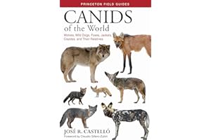 Canids of the World: Wolves, Wild Dogs, Foxes, Jackals, Coyotes, and Their Relatives