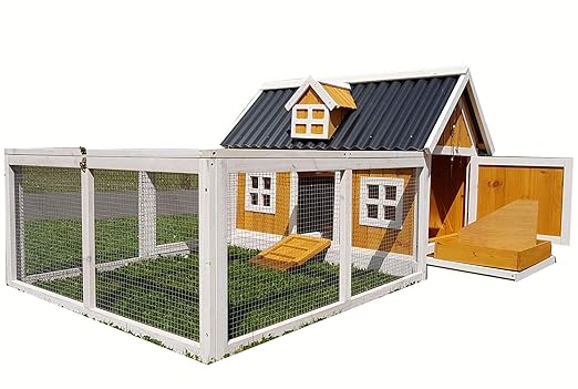 Cocoon HÜHNERSTALL HÜHNERHAUS ECO MIT NISTKASTEN BIS ZU 6 HÜHNER MIT LEICHT REINIGEN PLASTIKDACH - BLECHWANNE - Rampe - SITZS