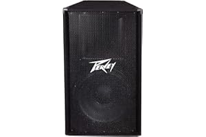 Peavey PV 115 2-Way Speaker
