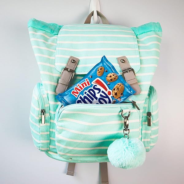 NABISCO CLASSIC MIX VARIETY PACK, OREO MINI, CHIPS AHOY! MINI, NUTTER BUTTER BITES, RITZ BITS CHEESE, 20 SNACK PACKS