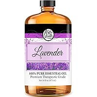 Amazon.com: Nisus Bora Care - 1 Jug Natural Borate Termite ...