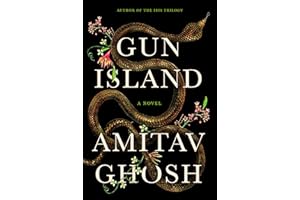 Gun Island